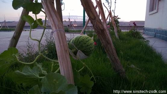 中色地科|礦產(chǎn)勘查|