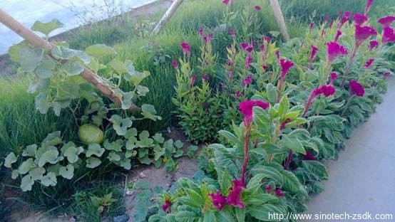 中色地科|礦產(chǎn)勘查|