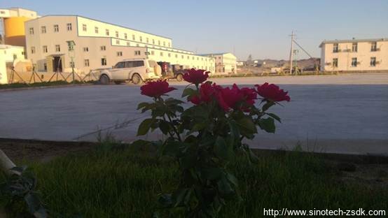 中色地科|礦產(chǎn)勘查|